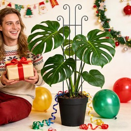 Genérico Tutor para Plantas,Soporte de Metal para Crecimiento Vertical Tutor para Enredaderas para Macetas de Interior Monstera Tomate Hiedra Clemátide