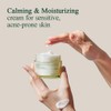 [PKY] Pyunkang Yul Calming Moisture Barrier Cream Instantly Soothes Sensitive