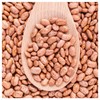 Everwilde Farms - 1 Lb Pinto Dry Bean Seeds -