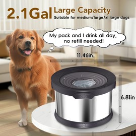 UPSKY Dog Water Bowl No Spill 8L Stainless Steel, 2.1 Gallon Large Capacity Spill-Proof Dog Bowls, Non-Slip Slow Drinking Anti-Splash Bowl for Large Messy Drinkers, No Mess Indoor/Outdoor Use, Black