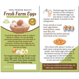 Havongki 100pcs Premium Fresh Farm Eggs Handling Care Instructions Cards Label Accessories | Egg Blank Cartons 4 6 12 15 18 30 48 50 Count Basket Box Container Storing Extra Organizer (M04-2CV)