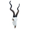 Top Brass 14 1/2" African Kudu Antelope Skull - Wall