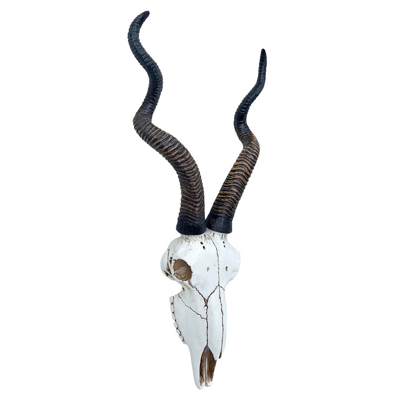 Top Brass 14 1/2" African Kudu Antelope Skull - Wall
