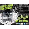 Holix Lab Creatina Monohidratada 300gr 60 Serv. Creapure Sabor Natural