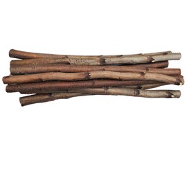 Tin Roof Treasure 2ft Raw Birch Log Assortment, 8pc for Wood Crafts and Decor