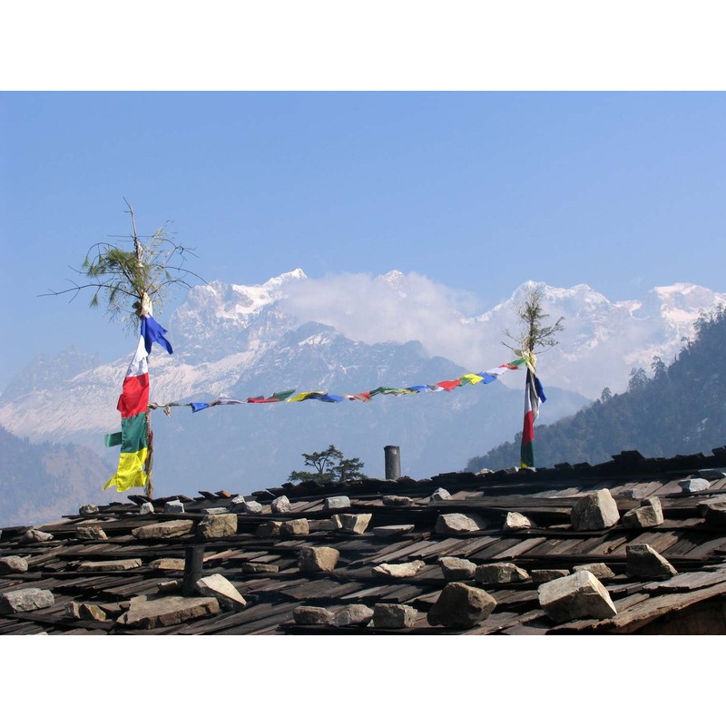 BUDDHAFIGUREN/Billy Held Buddhist Prayer Flags - Prayer Standard 2 m