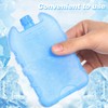 NOLITOY 4 Pcs Ice Crystal Boxes, Slim Coolers Reusable Ice