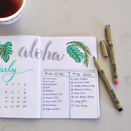 Sakura Black, Blue & Red Pigma Micron PN Pens .45mm 3/Pkg, 3 Count (Pack of 1), Pink