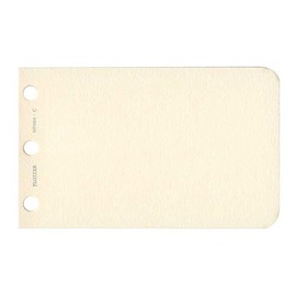 77716674 Card Size Plotter Refill Memo Pad, Plain, 40 Sheets