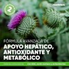 Liver Antioxidante con Cardo Mariano, NAC, Cúrcuma Hepático 60 Cápsulas