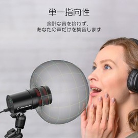 AVerMedia Versati go AM310G2 USB Condenser Microphone