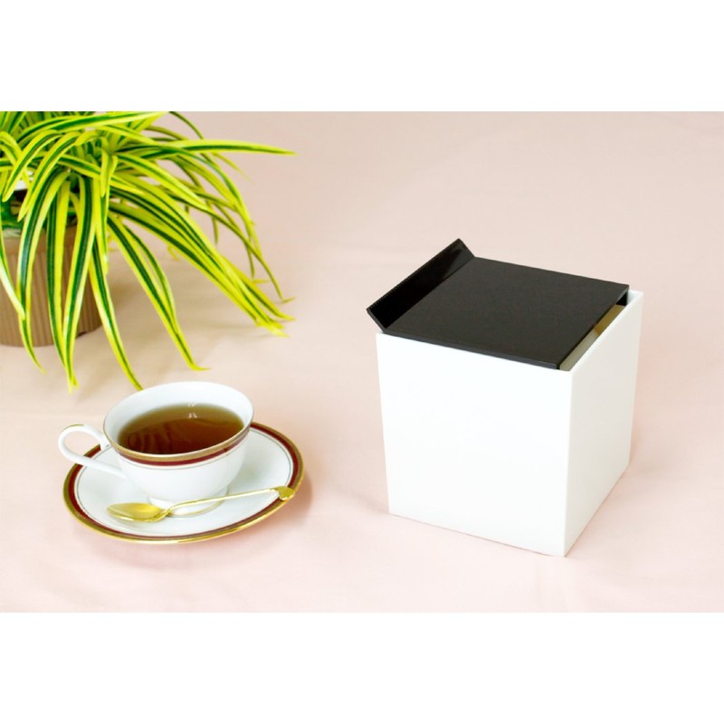 Butterfly Plastic Tissue Case