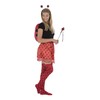 Zac's Alter Ego Fancy Dress 5 Piece Ladybird Set