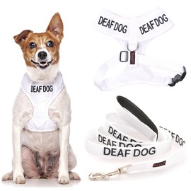 DEAF DOG (Dog Has Limited/No Hearing) White Colour Coded Non-Pull Front and Back D Ring Padded and Waterproof Vest Dog Harness S M and 1.2m or 1.8m Neoprene Padded Lead Set PREVENTS Accidents By Warning Others Of Your Dog In Advance (S & 1.8m)