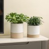Nihow Self Watering Plant Pot: 6 Inch Ceramic Planter with