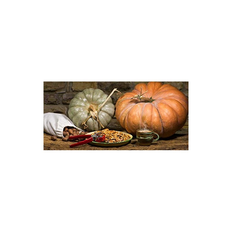 The Texan York Nut Sheller – One Nut Cracker, Tempered