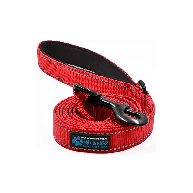 Max and Neo Reflective Nylon Dog Leash - We Donate