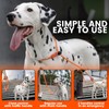 Howgo Dog Slip Lead Dog Leash, Training Lead, No-Pull Slip