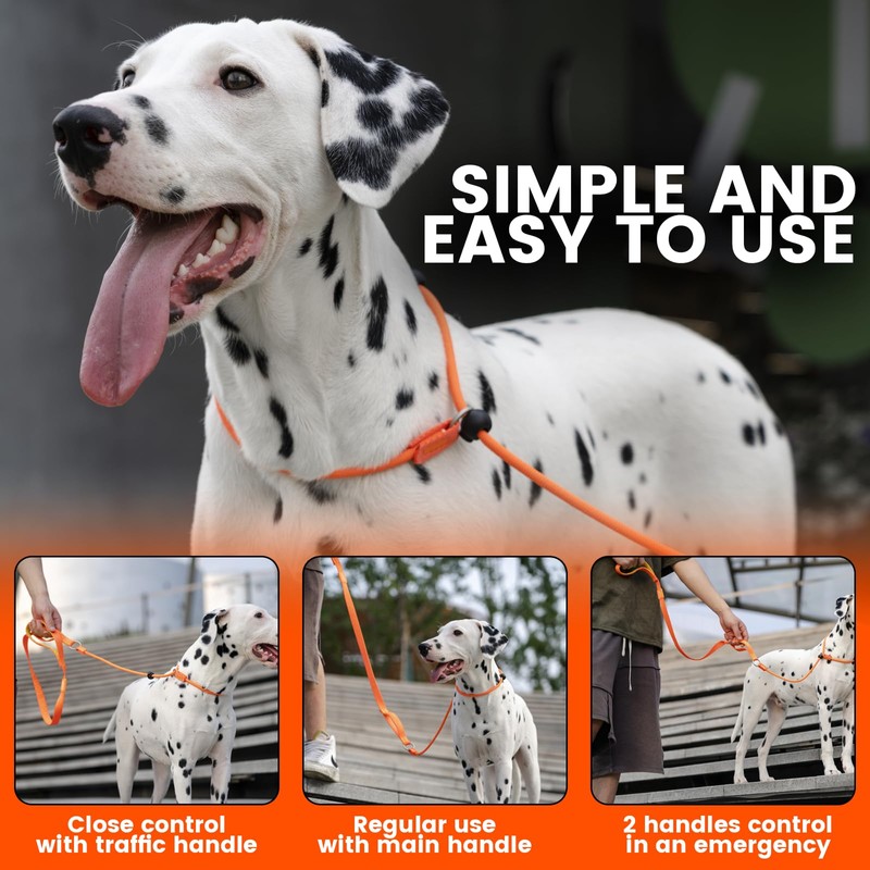 Howgo Dog Slip Lead Dog Leash, Training Lead, No-Pull Slip