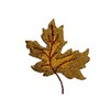 ID 7167 Dried Maple Leaf Patch Tree Fall Autumn Embroidered