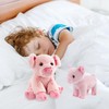JUSTQUNSEEN Pig Stuffed Animal for Kids,2pcs Realistic Animal Plush Toy