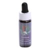 Flower Essence Services Trillium Flower Essence, 1 unit, 7.5ml / 플라워에센스서비시즈 트릴리엄 플라워 에센스, 1개, 7.5ml