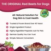Olewo Original Red Beets for Dogs – Natural Dog Anti