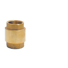 1 Brass Check Valve Floor Pump Submersible Pump