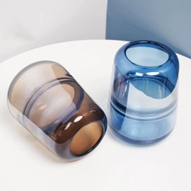 Rxcvkmw Modern Minimalist vase, Crystal Glass vase, vase, Flower vase, Dried Flower vase(Blue