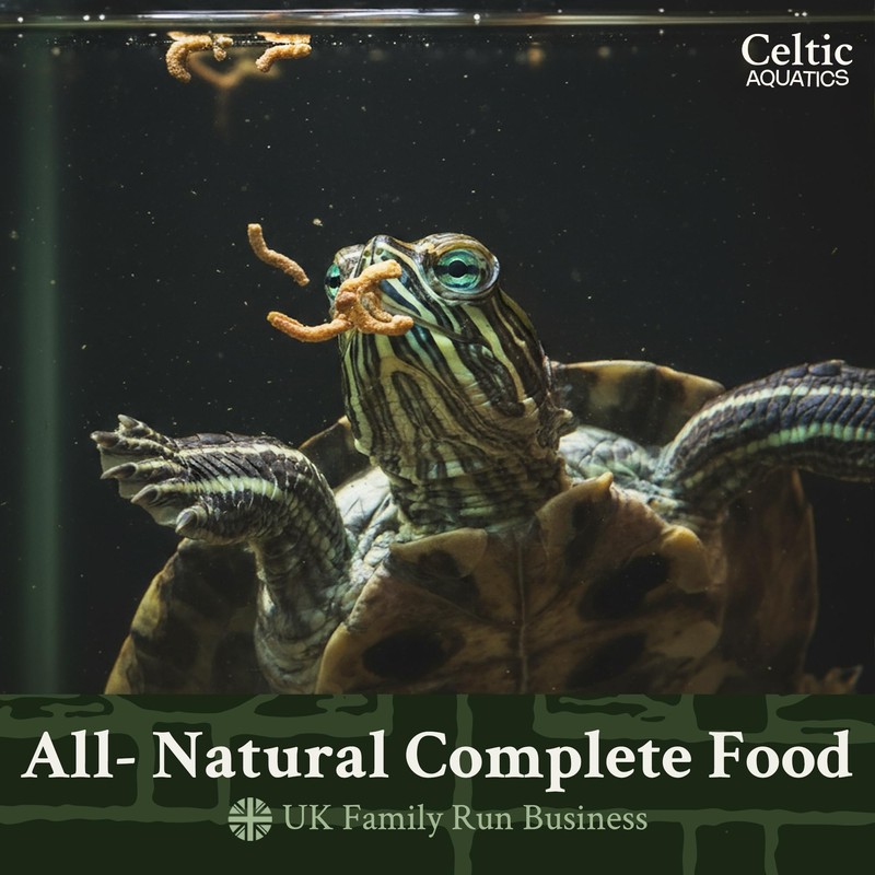 Turtle Food 1 Litre Tub (240g) | Floating Terrapin Food