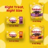 Nestle Raisinets 3.1 Ounce Theater Box