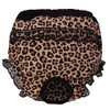 CROCI Hygienic Knickers Doggy Pants, 30/35 cm, Medium, Black