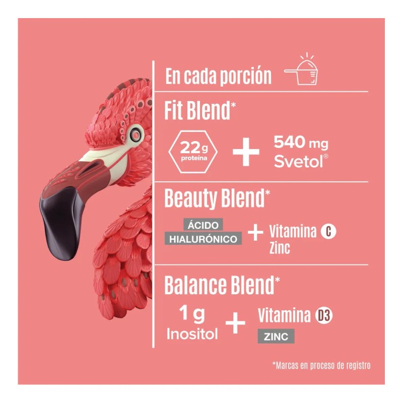 Birdman Proteína Vegetal Fitmingo 510g By Ale Rubio Sabor Moka