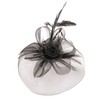 Cizoe Tea Party Fascinator Hats for Womens 50s Headwear with