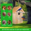 Bluebird House Predator Guards 2 Pcs, Strong Metal Wire Birdhouse