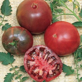 Burpee 'Cherokee Purple' Heirloom | Large Slicing Tomato | Rich Flavor