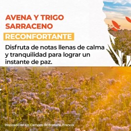 Yves Rocher Kit De Cremas Corporales Avena Y Trigo, Veganas, 390 ml c/u
