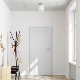 Westinghouse Lighting 5339000 3.5 Watt (60 Watt Equivalent) T10 Dimmable Clear Filament LED Light Bulb, Medium Base