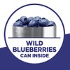 Krusteaz Wild Blueberry Muffin Mix, 17.1 OZ (Pack of 6)