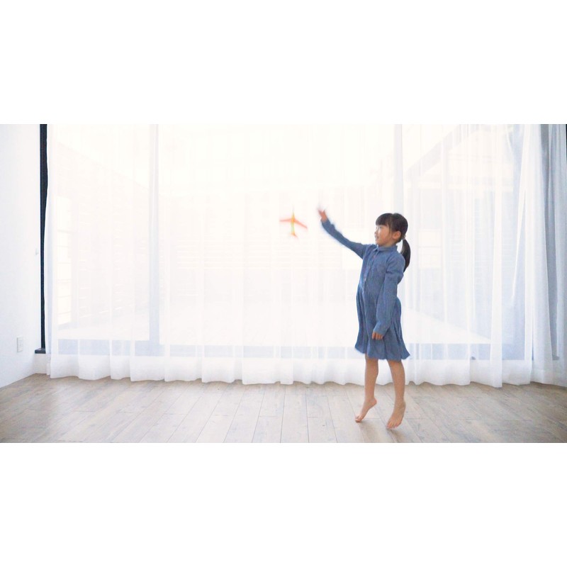 Boomerang airplane Looper Looper (2 aircraft entering)