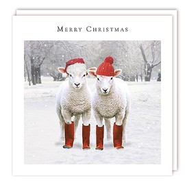 Tracks Publishing Charity Christmas Cards - Sheep with Wellies and Woolly Hats - Eco-Friendly - Pack of 5 Cards