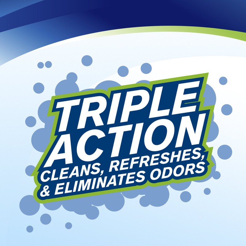 Woolite Carpet and Upholstery Cleaner Stain Remover, 4 pack -