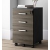 Lazio File Cabinet with Lock - Filing Cabinet for Home