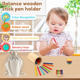 PATNFR Montessori Toys for 1-3 Year Old Wooden Color Sorting Stick Toy Color Matching Toy Sorting and Matching Game Educational Learning Toddler Toys for Kids