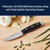 HENCKELS Statement Razor-Sharp 3-inch Compact Chef Knife, German Engineered Informed