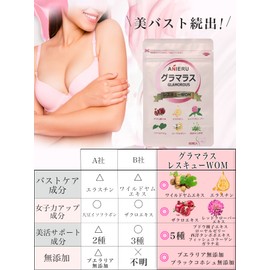 アニエル ANIERU グラマラスレスキューWOM 60粒 30日分 女子力アップ GLAMOROUS エラスチン ワイルドヤム ザクロ果汁 フィッシュコラーゲン