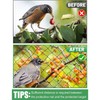 Bird Protective Net Light Weight Reusable Protect Fruit Tree Net