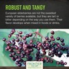 Frontier Co-op Dried Elderberries Organic, 2lb Bulk Bag, Whole Berries