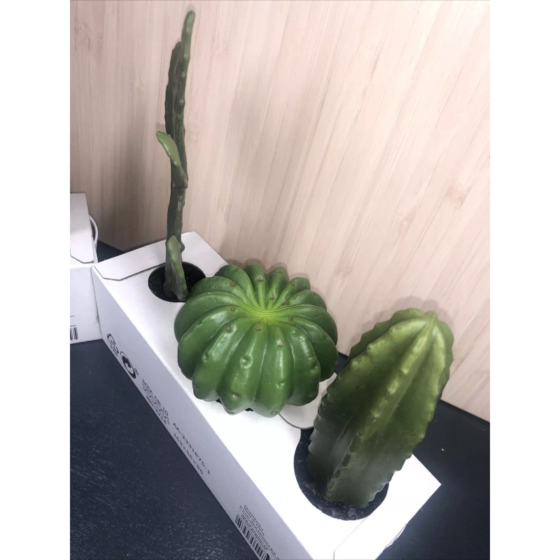 IKEA 2 Sets Ikea Fejka Miniature Artificial Cactus Plants x