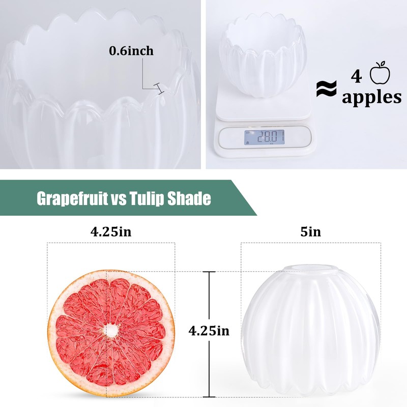 Shenmoyl Tulip Lamp Shades Replacement, 5" Dia. * 4.25" H